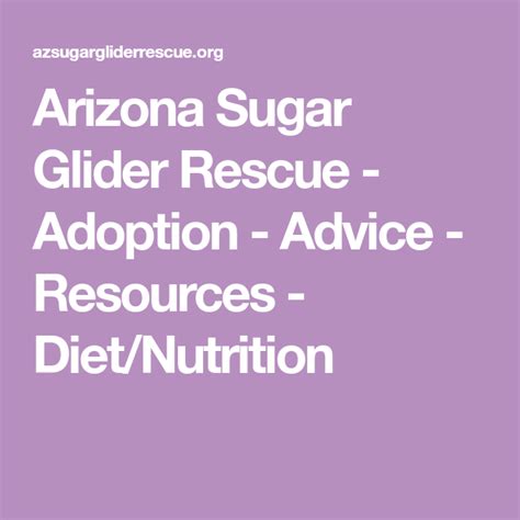 arizona sugar glider rescue adoption advice resources dietnutrition diet