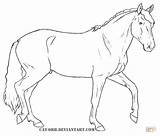 Lusitano Cavalo Kolorowanki Konie Supercoloring Konia Pferde Cavalos Lineart Ausmalbild Silhouetten Orb sketch template