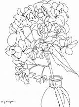 Drawing Line Hydrangea Contour Hydrangeas Getdrawings Flower Drawings Coloring sketch template