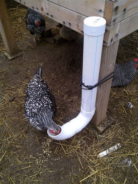 build  inexpensive chicken feeder  pvc