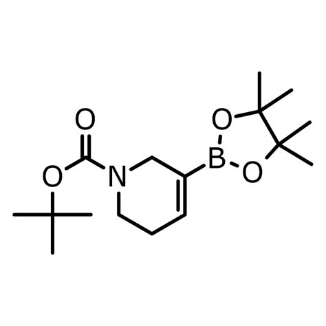 synthonix  building blocks     boc  dihydro  pyridine  boronic acid