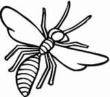 Coloring Pages Wasp Insect Insects Printable Clipart Realistic sketch template