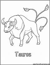 Tauros sketch template