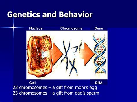ppt behavior genetics and evolutionary psychology powerpoint