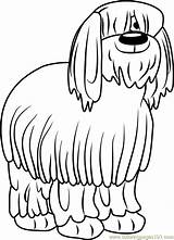 Sheepdog Niblet Designlooter Coloringpages101 sketch template