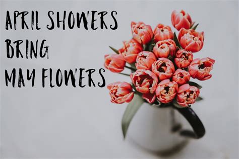 april showers bring  flowers apartmentvestors proven multifamily