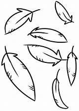 Feathers Coloring Pages sketch template
