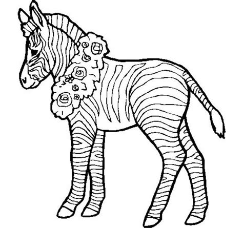 zebra template clipart