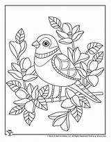 Birds Woojr Colouring Woo sketch template