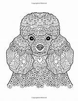 Coloring Pages Dog Poodle Adults Book Printable Toy Mandala Adult Dogs Colouring Gifts Men Puppy Poodles Books Friend Choose Board sketch template