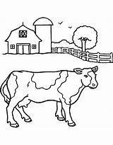 Fattoria Colorare Vacas Disegni Mucca Kuh Ox Dibujos Cattle Mammals Dltk Webstockreview sketch template