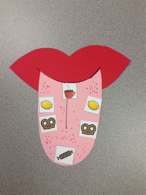 senses craft sense  taste tongue map visit wwwletsgetreadyforkindergartencom senses