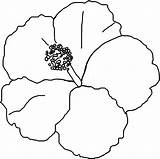 Hibiscus Coloring Pages Printable Kids Flower Flowers Sheets Bestcoloringpagesforkids Print Leaves Choose Board sketch template