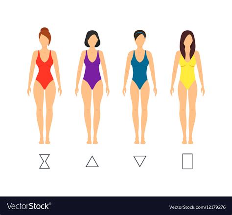 cartoon female body shape types royalty  vector image