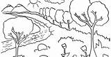 Pemandangan Mewarnai Hutan Sungai Langit Paud Cerah Hewan Sederhana Mainan Ue3 Oliv Usia Bulan Buah Kartun sketch template