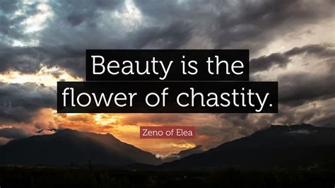 zeno  elea quote beauty   flower  chastity