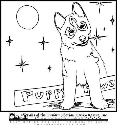siberian husky puppies coloring pages