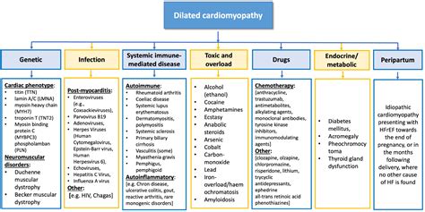dilated cardiomyopathy medical topics