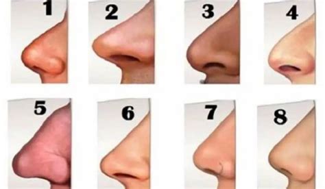 shape   nose reveals    personality namastest