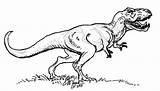 Tyrannosaur sketch template