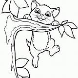 Cat Coloring Pages Color Dog Cute Kat Valentine Popular Procoloring Comments sketch template