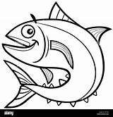 Thon Tuna Poisson Fisch Thunfisch Peixe Preto Atum Pesci Tonno Fische Fishes sketch template