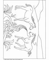 Coloring Horse Running Pages Popular Horses sketch template