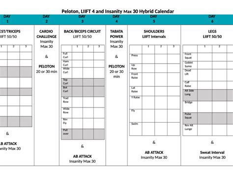 insanity workout schedule  printable  templateroller