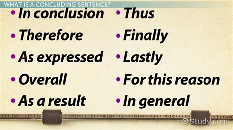 concluding sentence definition examples starters video lesson