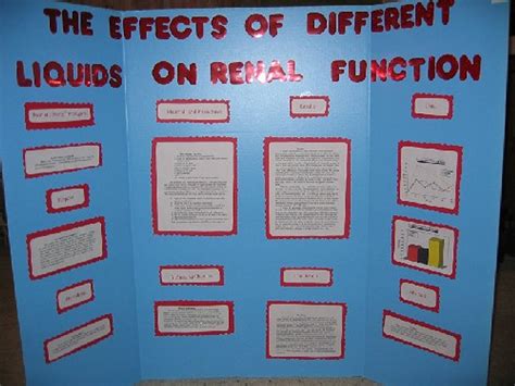write  science fair research paper