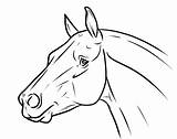 Horse Head Drawing Easy Cartoon Drawings Coloring Simple Pages Draw Lineart Google Horses Heads Getdrawings Book Deviantart Visit Animal Paintingvalley sketch template