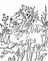 Lion Coloring Portrait sketch template