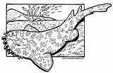 Wobbegong Sharks sketch template