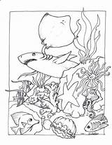 Coloring Pages Aquatic Getcolorings Underwater Adult sketch template