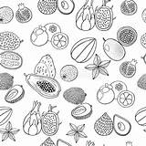 Getrokken Tropische Vruchten Naadloos Patroon Kunstwerk Exotische sketch template