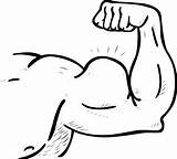 Arm Muscle Clipart Clip Arms Strong Cartoon Coloring Flexing Cliparts Muscles Drawing Muscular Google Samson Body School Pages Human Library sketch template
