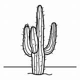 Cactus Pintar Nopales Desierto Blanco Deun Macetas Imagui sketch template