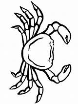 Coloring Pages Crab Print sketch template