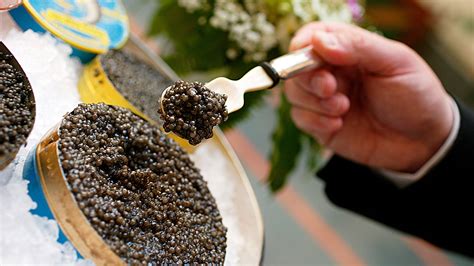 How Poachers Smugglers And The Fsb Go To War Over Caviar