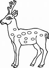 Deer Coloring Pages Spotted Printable Baby Outline Drawing Antler Kids Face Clipart Head Realistic Colouring Drawings Wecoloringpage Animals Print Animal sketch template