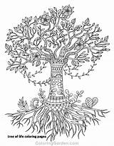 Coloring Roots Tree Pages Getcolorings sketch template