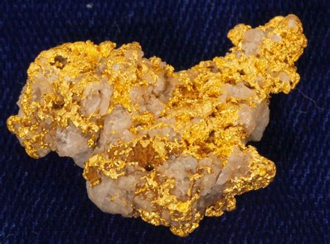gold specimen   consolidated gold  holabird western