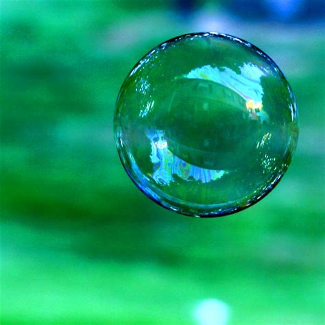 bubbles   gallery  flickr