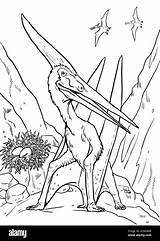 Alamy Quetzalcoatlus Pteranodon Jurassic Asd7 sketch template