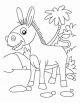Donkey Pages Ane Esel Coloriage Donkeys Ausmalbilder Ausmalbild Heureux Superbe Sunday Malvorlagen Smartest Sheets Mewarnai Bestcoloringpages Coloringhome sketch template