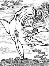 Quiver Shark Coloring Pages Printable App Book Getdrawings Colouring Getcolorings Color Drawing Colorings Print Dover Vol Archives sketch template