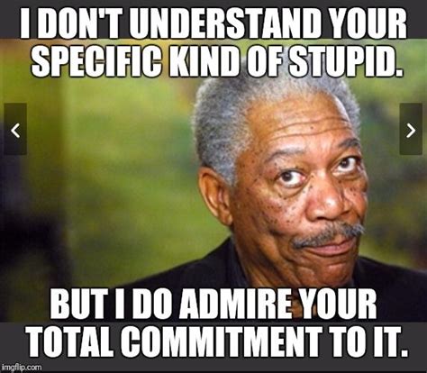 image tagged in your kind of stupid sarcastic quotes funny witty