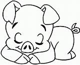 Colorir Porco Everfreecoloring Schwein Animais sketch template