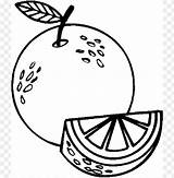 Jeruk Mewarnai Frutas Laranja Sketsa Fruta Oranges Desenho Pohon Gambarcoloring Terbaru Dia Buahan Diwarnai Menggambar Sheet Toppng Bojanka Brindes Koleksi sketch template