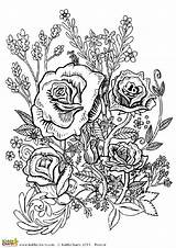Coloring Pages Adults Flower Adult Cool Flowers Roses Printable Sheets Rose Book Books Four Designs Kiddycharts Freebies Kids Nivea Oreal sketch template